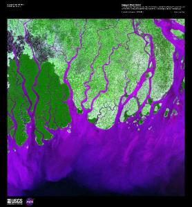 Estuaries in Bangladesh